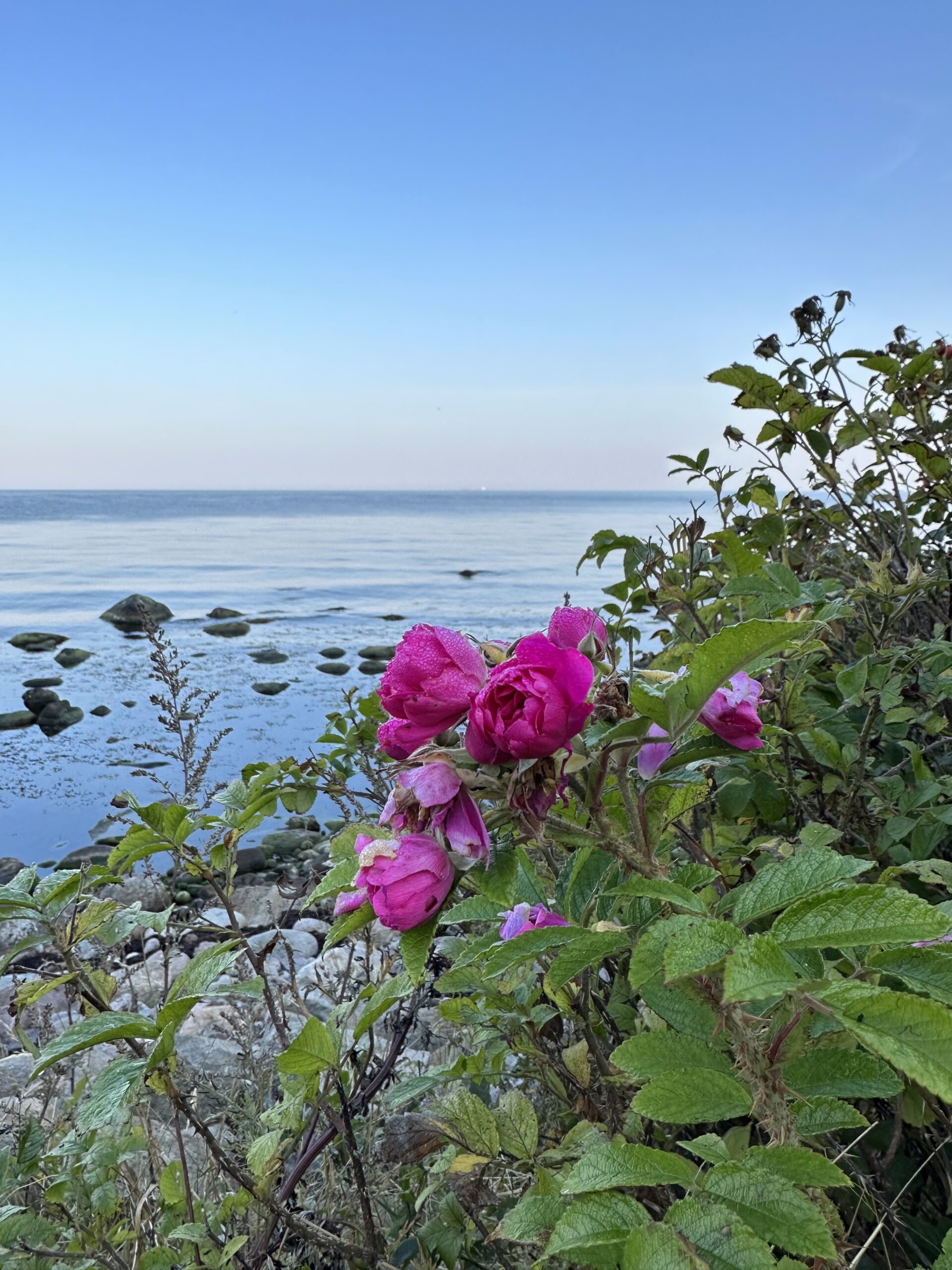 0FCB8897-4B5F-4A6D-B66C-303F775F32FF