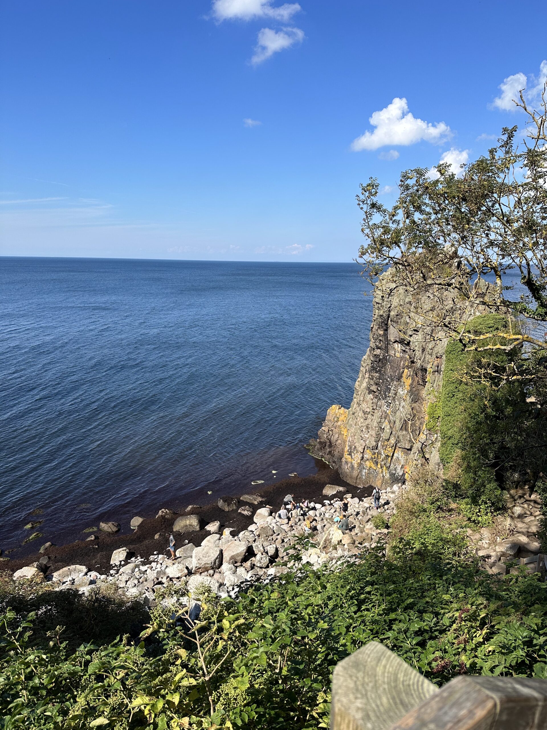 0249EE08-F40B-4E5D-BF04-A624E60E2EA8