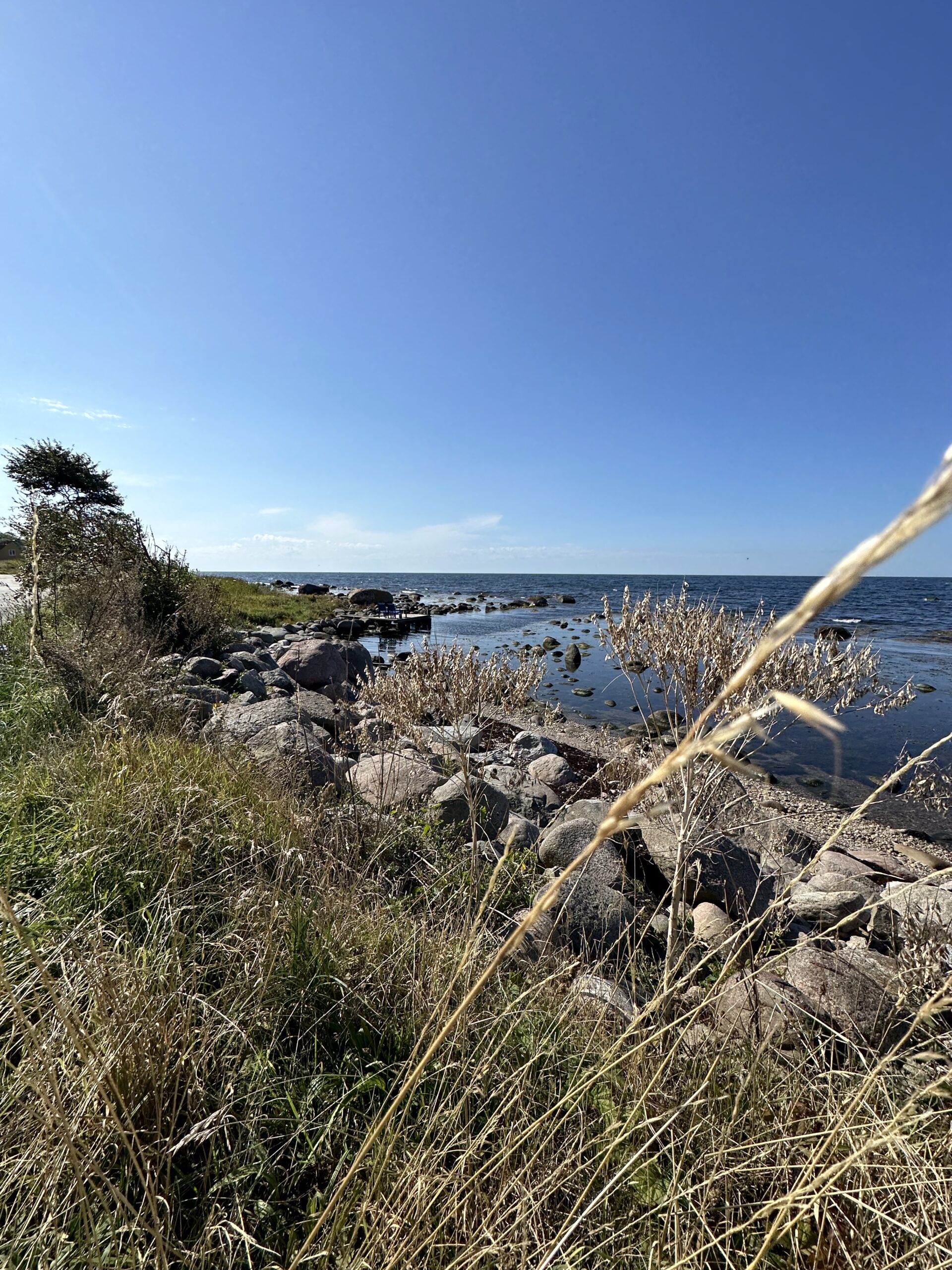 4D1A6803-1B60-42E1-86FD-DD1AC03C9112