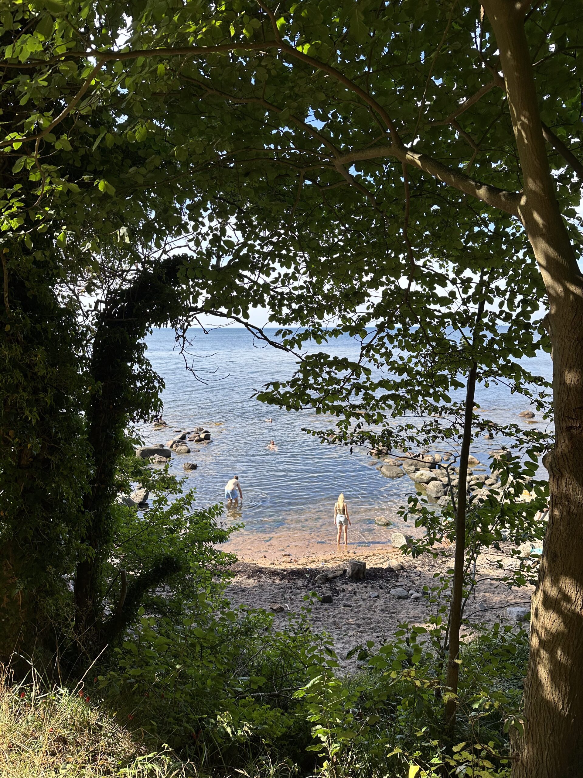 554C60D9-9671-4DF7-BC92-AE4C58F0F1DA