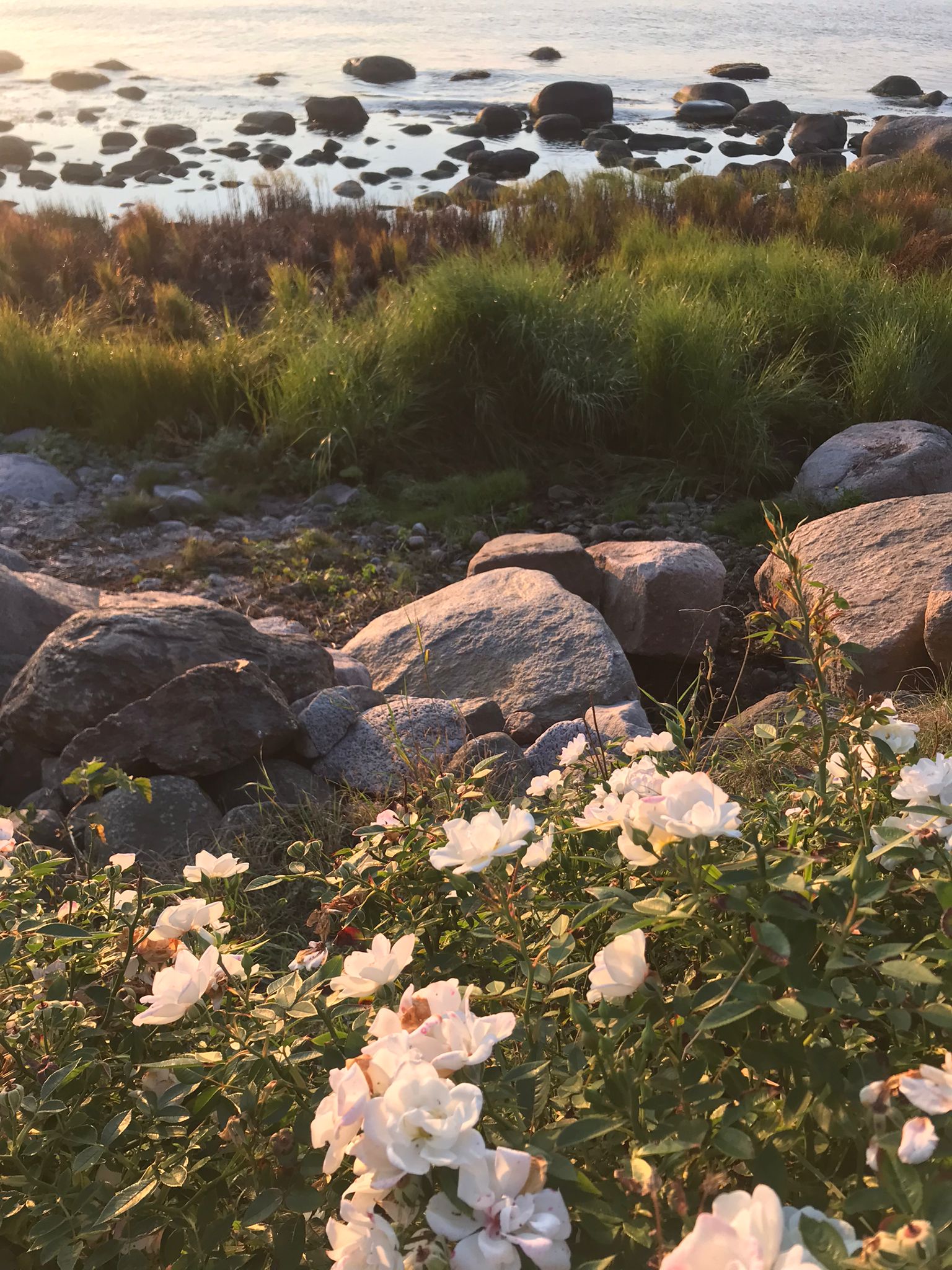 609F3D40-9926-41E4-B7BE-F9D1D8D23D56