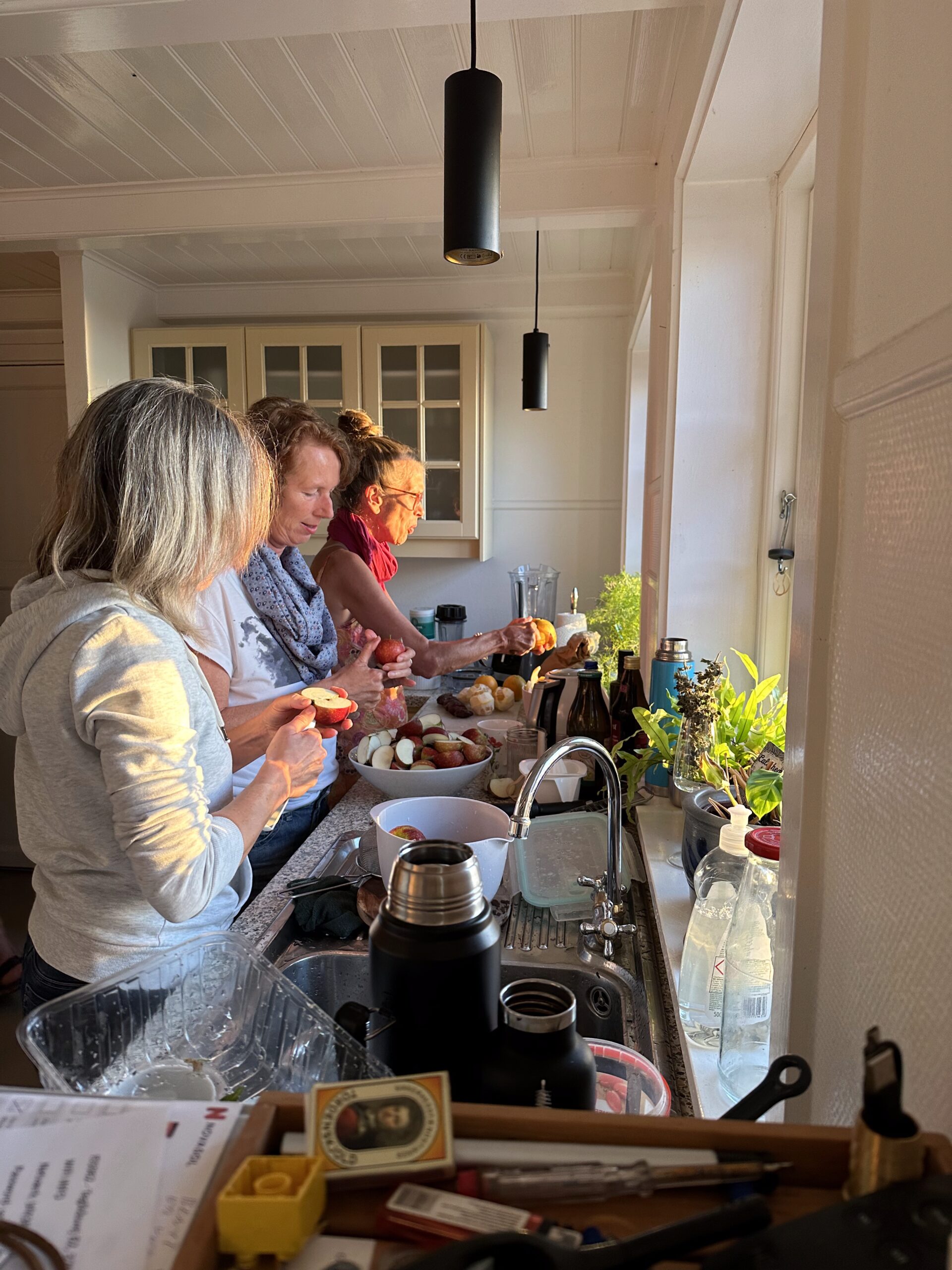 7A789F02-3718-43D3-B99E-7B943E9B6208