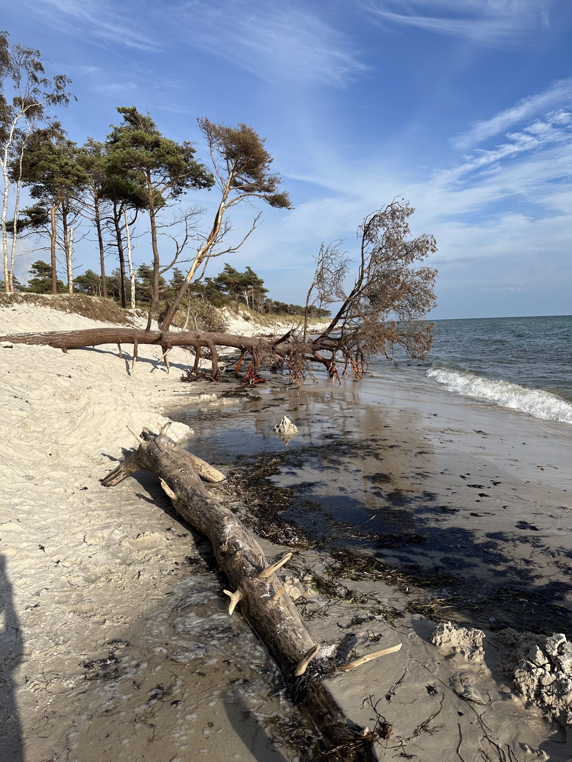 8A7E1526-722B-4239-BF02-CDDF210785D1